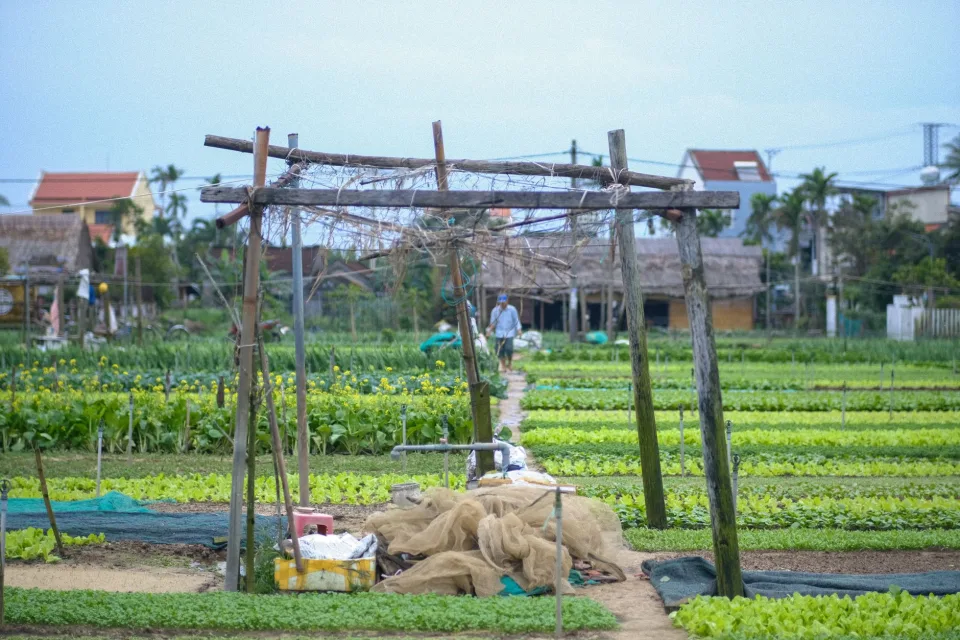 Vườn rau của Zrâm Bên